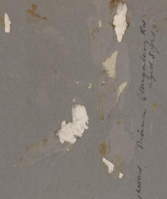 PHOTOGRAPH (DIGITAL COPY): DIANA AGED 3 YEARS, WHITE FAMILY - MISSING FROM ALBUM