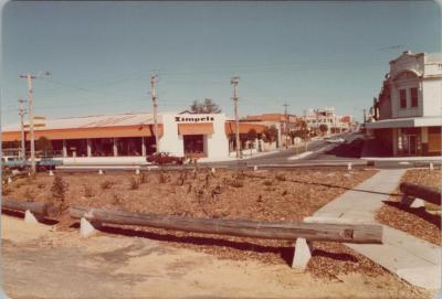 PHOTOGRAPH: 'ROKEBY ROAD', 1981