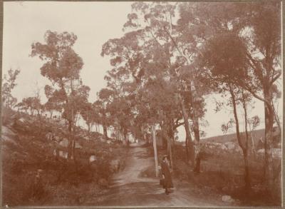 PHOTOGRAPH (DIGITAL): ROAD TO HELENA RIVER, GLEN FOREST, 1925, GERTRUD LIPFERT ALBUM 1927