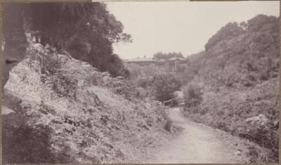 PHOTOGRAPH (DIGITAL): PATH TO CAVES HOUSE, YALLINGUP, 1926-27, GERTRUD LIPFERT ALBUM 1927