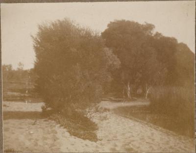 PHOTOGRAPH (DIGITAL): MONGERS LAKE, GERTRUD LIPFERT ALBUM 1927