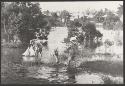 PHOTOGRAPH (DIGITAL): BOYS PLAYING IN THE JOLIMONT SWAMP, FROM JOLIMONT HISTORICAL IMAGES ALBUM 1, DON GIMM