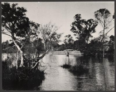 PHOTOGRAPH (DIGITAL): JOLIMONT SWAMP, FROM JOLIMONT HISTORICAL IMAGES ALBUM 1, DON GIMM