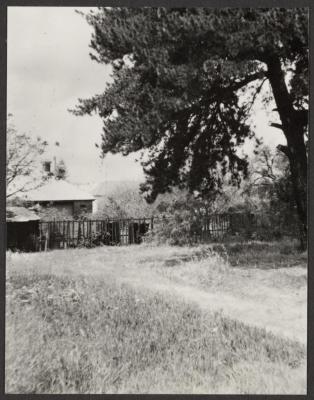 PHOTOGRAPH (DIGITAL): HENDERSON PARK 1950, FROM JOLIMONT HISTORICAL IMAGES ALBUM 1, DON GIMM