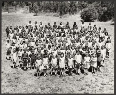 PHOTOGRAPH (DIGITAL): LIKELY WHOLE SCHOOL PHOTO, JOLIMONT PRIMARY SCHOOL, 1980, FROM JOLIMONT HISTORICAL IMAGES ALBUM 3, DON GIMM