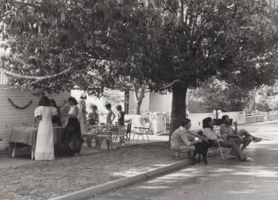 PHOTOGRAPH: STREET PARTY SCENE, CHESTER STREET, DECEMBER 1977