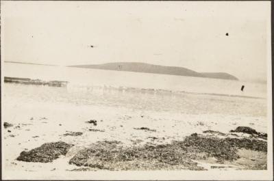 PHOTOGRAPH (DIGITAL): ALBANY BEACH 1925, FROM MINNA LIPFERT ALBUM