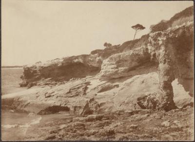 PHOTOGRAPH (DIGITAL): ROTTNEST ISLAND, JANUARY 1922, FROM MINNA LIPFERT ALBUM