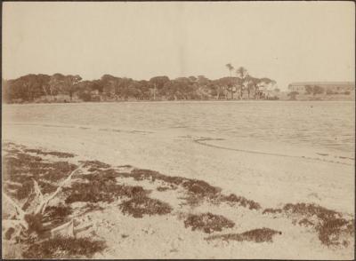 PHOTOGRAPH (DIGITAL): ROTTNEST ISLAND, JANUARY 1922, FROM MINNA LIPFERT ALBUM