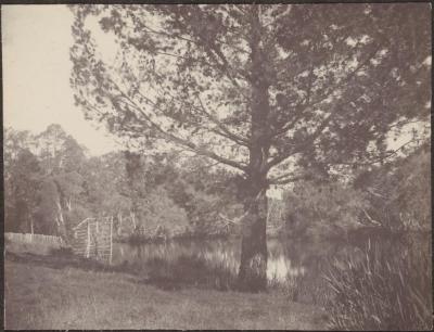 PHOTOGRAPH (DIGITAL): 'UNKNOWN FARM' 1924, FROM MINNA LIPFERT ALBUM