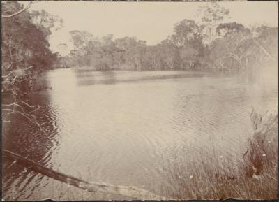 PHOTOGRAPH (DIGITAL): 'PERINGILUP POOL PICNIC 1923', FROM MINNA LIPFERT ALBUM