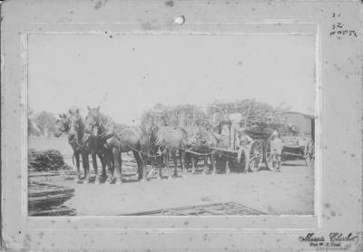 ELVERD B AND MCGRATH