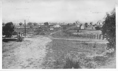 KOJONUP 1904