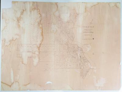 TOODYAY TOWNSITE MAP C1950S