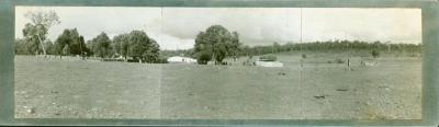 FARM & PADDOCK, THREE PHOTOGRAPHS ON METAL PLATE