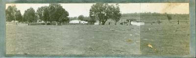 FARM AND PADDOCKS, THREE PHOTOGRAPHS ON METAL PLATE