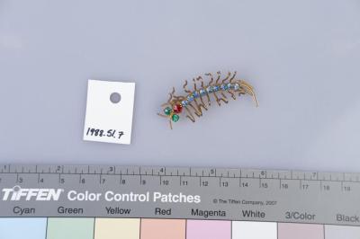 BROOCH: CENTIPEDE