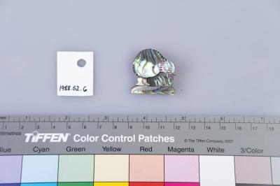 BROOCH: PAUA SHELL KIWI