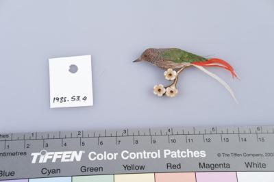 BROOCH: BROWN SPECKLED BIRD WITH FEATHERS