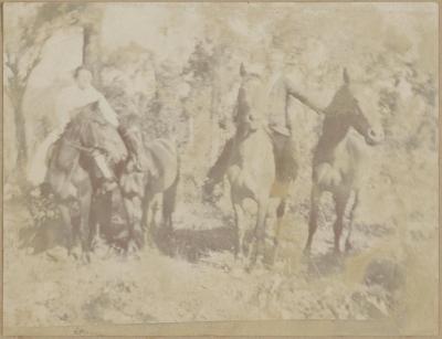 PHOTOGRAPH (DIGITAL COPY): FOUR HORSES, ABRAHAMS FAMILY