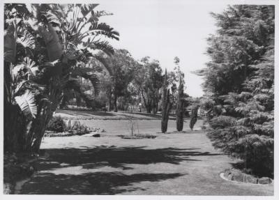 PHOTOGRAPH: 'CITY HALL GARDENS' 1968