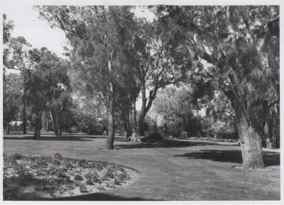 PHOTOGRAPH: 'CITY HALL GARDENS' 1968