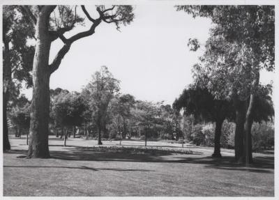 PHOTOGRAPH: 'CITY HALL GARDENS' 1968