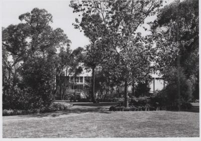 PHOTOGRAPH: 'CITY HALL GARDENS' 1968