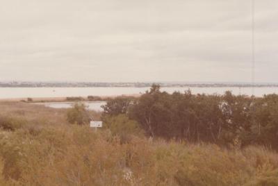 PHOTOGRAPH: 'PELICAN POINT BIRD SANCTUARY' 1985