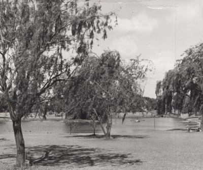 PHOTOGRAPH: 'MABEL TALBOT PARK'