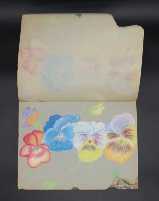 SKETCHBOOK - 'PERFECTION CHALK DRAWING BOOK' PATRICIA GLEW