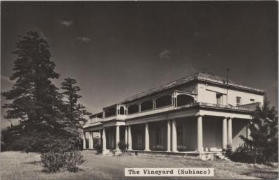 PHOTOGRAPH: THE VINEYARD HOUSE, SUBIACO, NSW