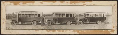 PHOTOGRAPH (MOUNTED): THREE BUSES, EMU SERVICE, WEST SUBIACO