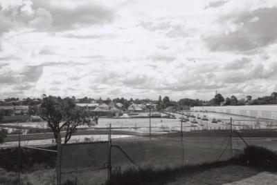 PHOTOGRAPH: VIEW OVER SUBI CENTRO