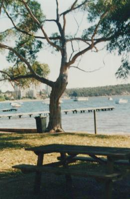 PHOTOGRAPH: MATILDA BAY - CRAWLEY