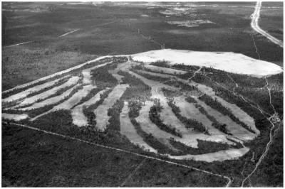 COURSE AERIAL PHOTOGRAPHS 1967 AND 1968