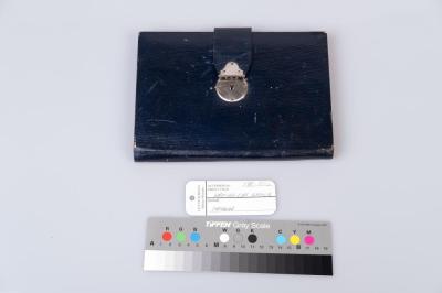 WRITING CASE: TRAVEL