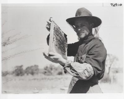 PHOTOGRAPH: BENEDICTINE MONK BEEKEEPER