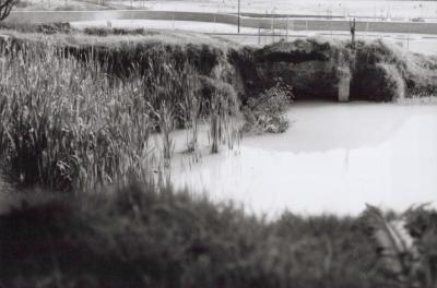 PHOTOGRAPH: WASTE POND OF AUSTRALIAN FINE CHINA