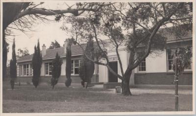 PHOTOGRAPH: HOLLYWOOD PRIMARY SCHOOL, MONASH AVENUE