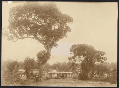 PHOTOGRAPH: SUBIACO RAILWAY STATION, 1894