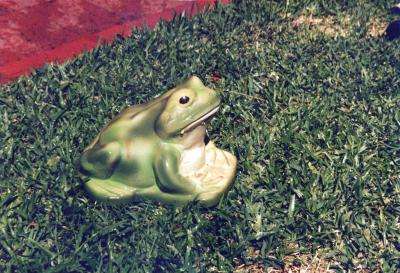 PHOTOGRAPH: FROG, MADE BY BRISTILE POTTERY