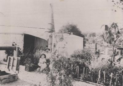 PHOTOGRAPH: BACK GARDEN, DAISY BELL COTTAGE