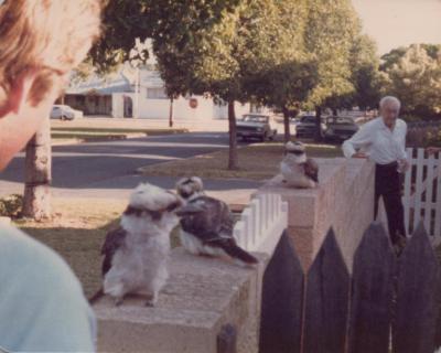 PHOTOGRAPH: SUBIACO RESIDENTS: HENSMAN ROAD