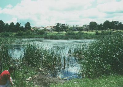 PHOTOGRAPH: SHENTON PARK LAKE 1955