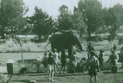 PHOTOGRAPH: PHOTOS OF LAKE JUALBUP