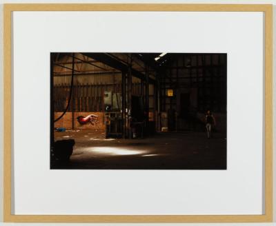 PHOTOGRAPH (FRAMED): PUBLIC ART: 'TRANSITION ZONE #1464 - DRAGON'S HEAD', ALEX MILLER