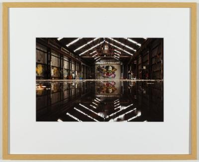 PHOTOGRAPH (FRAMED): PUBLIC ART: 'TRANSITION ZONE #1357 - DISTANT SKELETON', ALEX MILLER