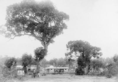 PHOTOGRAPH (DIGITAL): SUBIACO RAILWAY TRAIN STATION