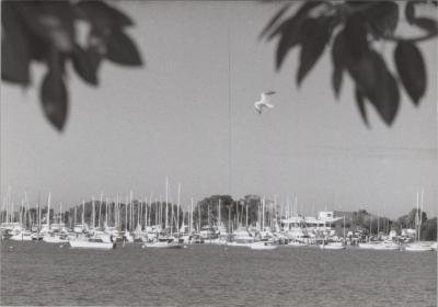 PHOTOGRAPH: 'ROYAL YACHT PERTH CLUB', JUNE 1993